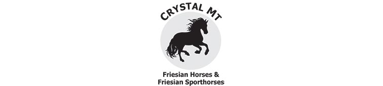 Sponsor